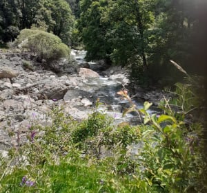 Boucle de Montgros ALLOS - Frédéric - 3