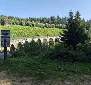 Viaduc du Chatelard depuis le Col de Crie - Deux-Grosnes - 3