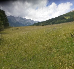Boucle de Montgros ALLOS - Allos - 2