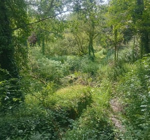Petite boucle du Lizildry - Plouguiel - 2