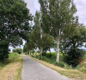 Du Vivier au Mont-Dol par la campagne - Le Vivier-sur-Mer - 2
