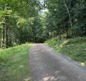 Le parcours pédagogique du Mont Saint-Rigaud - Propières - 2