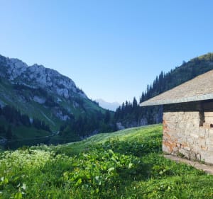 Pointe de l'Arvouin par son lac et son col - La Chapelle-d'Abondance - 2