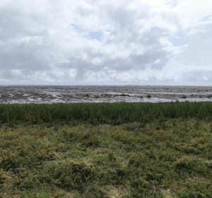 Phare de la coubre - La Tremblade - 2