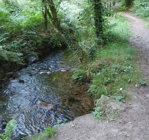A travers le bois de La Boissière et le village Le Poullo - Elven - 2