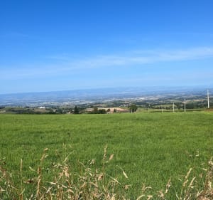 Boucle entre Saint-Bonnet et Saint-Héand - Saint-Bonnet-les-Oules - 2