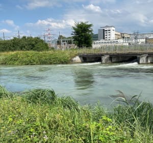 Au fil de l’eau entre Petite Carmargue et Village-Neuf - Saint-Louis - 2