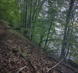 Lac du Val par la forêt - Menétrux-en-Joux - 2