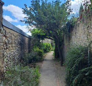 Boucle de Malicorne-sur-Sarthe par Noyen - Malicorne-sur-Sarthe - 2
