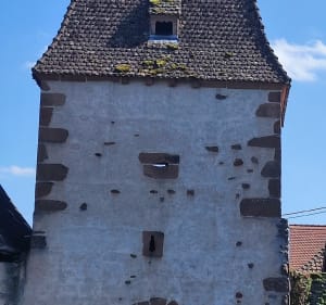 Autour de Rosheim, les vignes, Boersch, voie verte - Rosheim - 2
