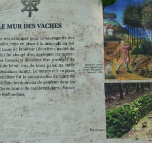 Un petit tour au Lampy - FREDERIC - 3