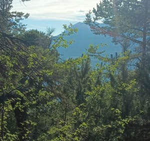Le mystérieux chemin du bâtard - Saint-André-d'Embrun - 2