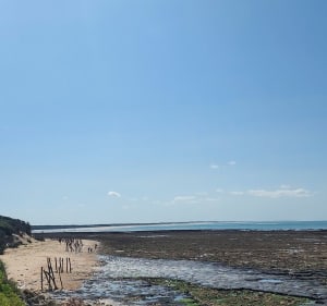 Balade jusqu'à la plage de l'Ecuillière - Le Château-d'Oléron - 2