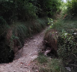 Balade dans les vignes Saint Dionisy -Sinsans - Saint-Dionisy - 2