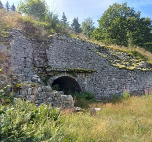 Boucle de Chèvre Roche au dessus de Vagney - Vagney - 2