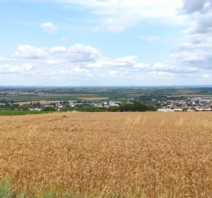 Boucle à Dallet depuis Clermont-Ferrand - Clermont-Ferrand - 2