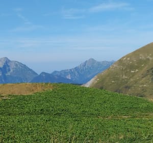 Le Quermoz par le col de Vaz - La Léchère - 2