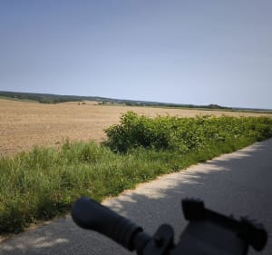 Allée Royale en A/R - Fontenay-le-Fleury - 2