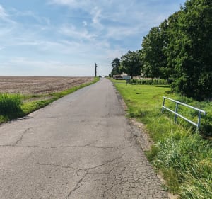 Balade entre Amillis et Coulommiers - Amillis - 2