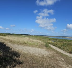 La pointe de pen bron - THIERRY - 4