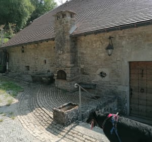 Grand tour de la reculée de Baume les Messieurs - Baume-les-Messieurs - 2