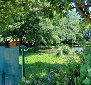 Randonnée Ville sur Illon 88 - Ville-sur-Illon - 2