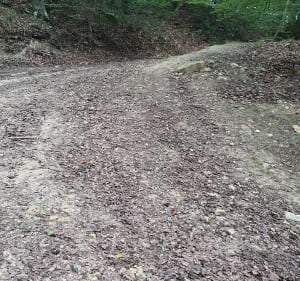 Balade vers l'étang du Fond de la Garde - La Neuville-en-Hez - 3