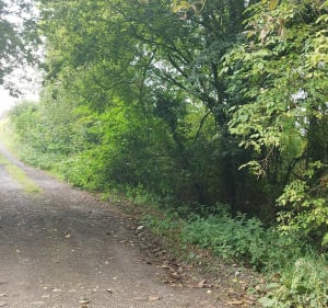 Randonnée des Mottes - Lederzeele - 2