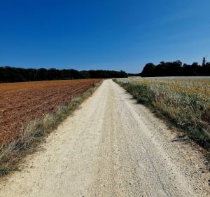 Rando  sur le plateau de Lay-Saint-Christophe - Lay-Saint-Christophe - 2