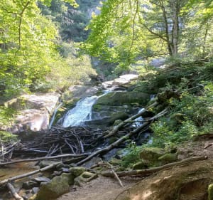 Balade à la Cascade de la Pisserote - Arfeuilles - 2