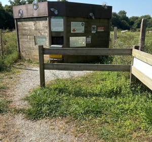 Balade en famille dans les Barrées - Dax - 2