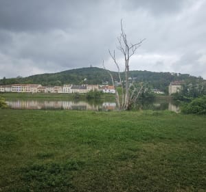Bord de Moselle et canaux depuis Le Ban-Saint-Martin - Le Ban-Saint-Martin - 2