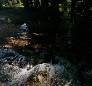 Belle balade sur la commune de St-Julien-du-Sault et Verlin - Saint-Julien-du-Sault - 2
