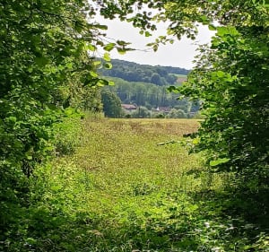 Le Pâtis et Mont de Mézerolles - Barly - 2