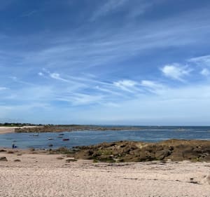 Petit tour estival par le Tot de Bas - Vicq-sur-Mer - 2