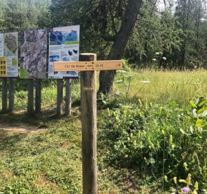 De Archinard à la bergerie de Rouanette - Orcières - 2