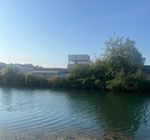 De grote lus van Saint-Dizier - Saint-Dizier - 2