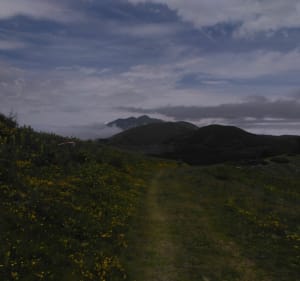 Promenade dans les pistes à Labrit - Labrit - 2
