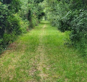 Balade tranquille dans les marais depuis Saint-Pierre-le-Vieux - Saint-Pierre-le-Vieux - 2