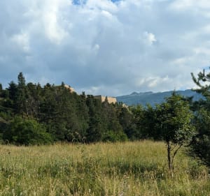Mont Dauphin - Sentier des Marmottes - Mont-Dauphin - 2