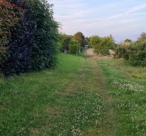 Chemin des Canons - Beaupréau-en-Mauges - 2