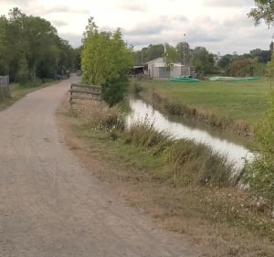 Du marais de Longeville aux viviers de la Guittière - Longeville-sur-Mer - 2