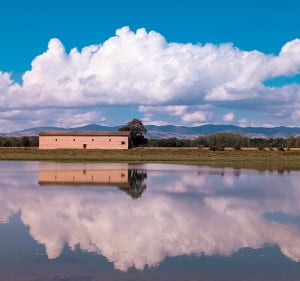Messimy au château de la Flechère par la Saône - Messimy-sur-Saône - 2