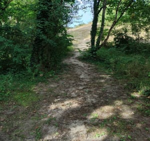 Merlimont et Le bout de Bas par la Canarderie - Merlimont - 5