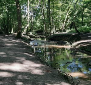Du lac de Gravigny en passant par le pont des templiers - Longjumeau - 2