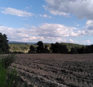 Petite randonnée au départ de Mazeirac - Rimeize - 2