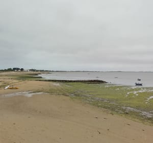 Île de Noirmoutier, entre Barbâtre et la Pointe du Devin... - Armel - 5