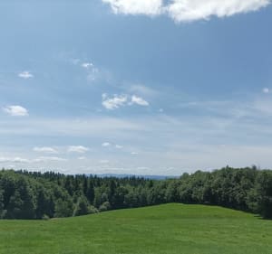 Le bois de Caux à Saint Donat - Saint-Donat - 2