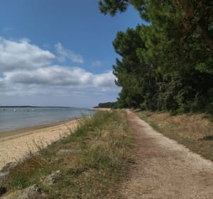 La boucle lumineuse sur l'Île d'Oléron - thomas - 3