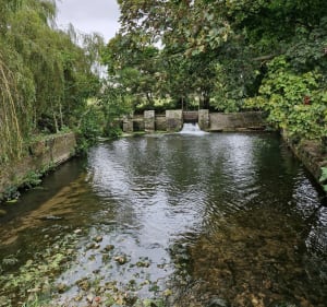 Promenade autour de l'Aure, depuis Argouges - Vanessa - 3